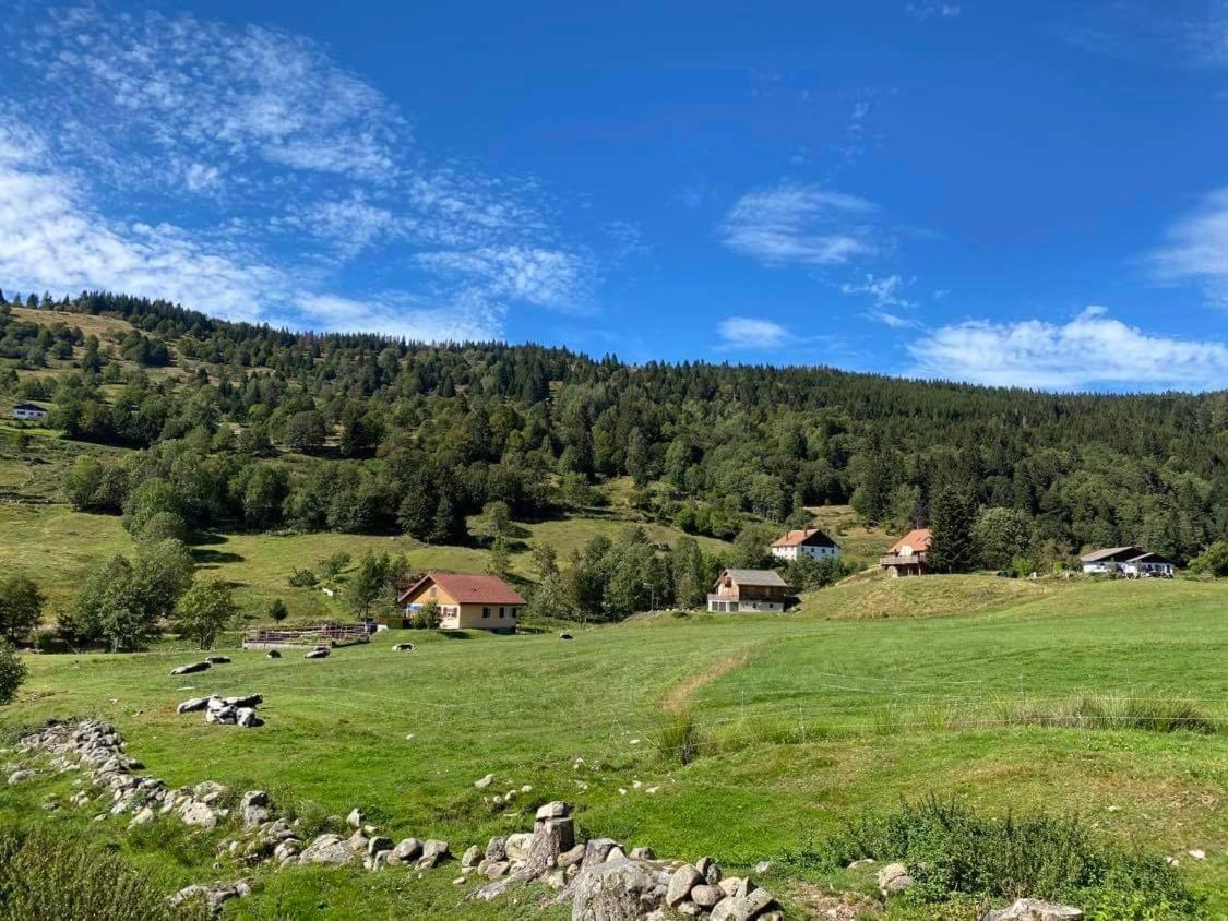 Chalet Spa Le Diamant Nathalie Mn La Rouge Ла Брес Екстериор снимка